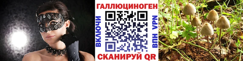 Псилоцибиновые грибы Psilocybe  цена наркотик  Правдинск 